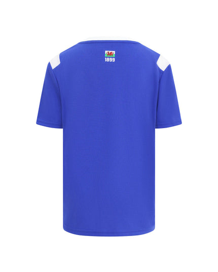Camisola New Balance Cardiff 26 / 27 Equipamento Principal