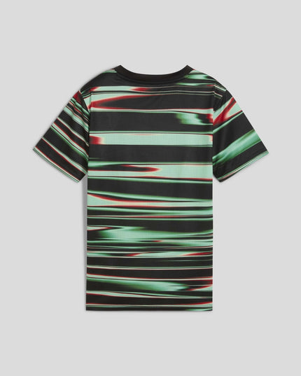 Camisola Puma Seleção de Portugal 24/25 -Pré Jogo