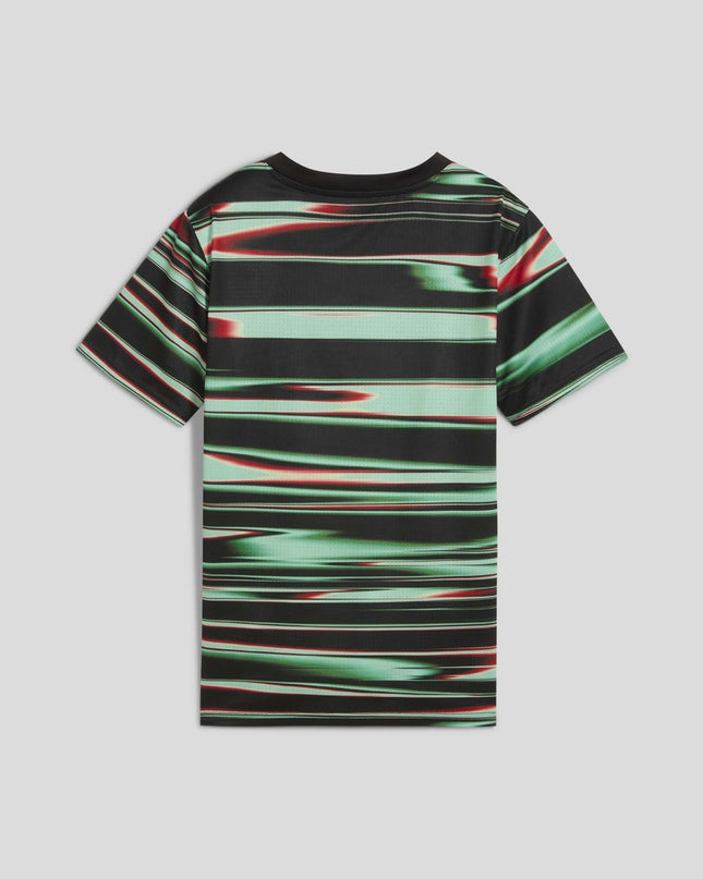Camisola Puma Seleção de Portugal 24/25 -Pré Jogo