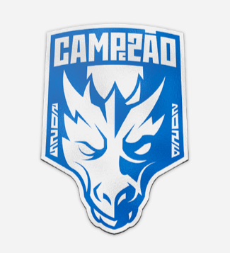 Patch Porto Campeão